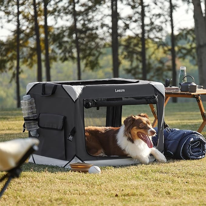 Lesure Collapsible Dog Crate - Portable Dog Travel Crate Kennel for Medium Dog, 4-Door Pet Crate with Durable Mesh Windows, Indoor & Outdoor (Charcoal Gray)