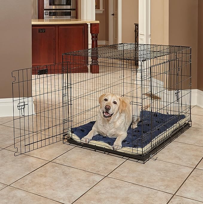MidWest Homes for Pets Reversible Paw Print Pet Bed in Blue / White, Dog Bed Measures 40L x 26W x 3.5H for Large Dogs, Machine Wash
