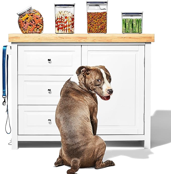 OXO Good Grips Pet POP Container – 2.8 Qt/2.6 L |Ideal for up to 3lbs of Dog Food or 2lbs of Cat Food | Airtight Storage Container | BPA Free