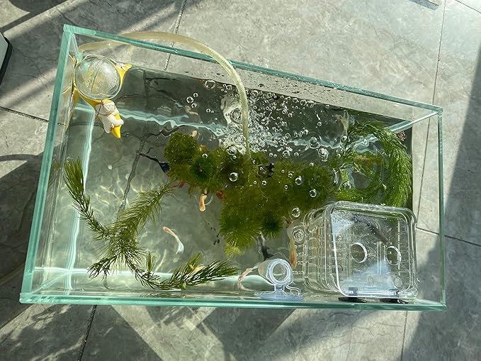 Small Nano Tall Rimless Tank, Small Glass Fish Tank, Small Betta Fish Tank, Small Aquarium, min Aquarium, Betta Tank (2.85 Gallon 11.8x6.7x7.8inch/30x17x20cm)