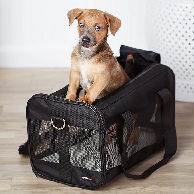 Amazon Basics Soft-Sided Mesh Pet Travel Carrier for Dog, Cat, Medium, 16.5"L x 9.4"W x 9.8"H, Black