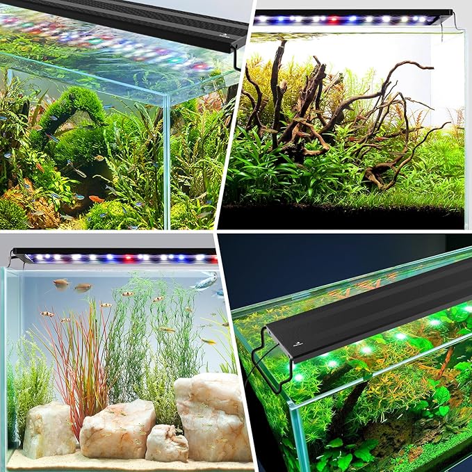 24/7 Mode LED Aquarium Light - Sunrise/Daylight/Moonlight Mode and DIY Mode Full Spectrum Fish Tank Light with Timer Auto On/Off, Dimmable 8 Colors Lighting for 12-18IN Fish Tank