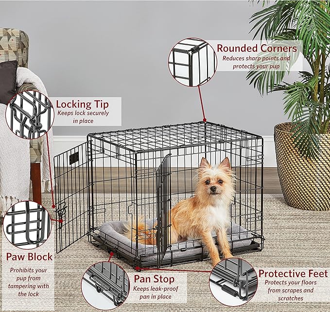 MidWest Homes for Pets Small Dog Crate, Life Stages 24' Double Door Folding Metal Dog Crate | Divider Panel, Floor Protecting Feet, Leak-Proof Dog Pan| 24L x 18W x 19H Inches, Small Dog Breed