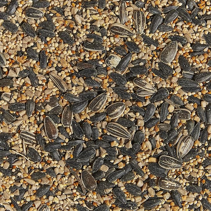 Kaytee Western Regional Wild Bird Seed, 7 lb