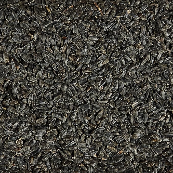 Kaytee Wild Bird Black Oil Sunflower Food, 5 Pounds