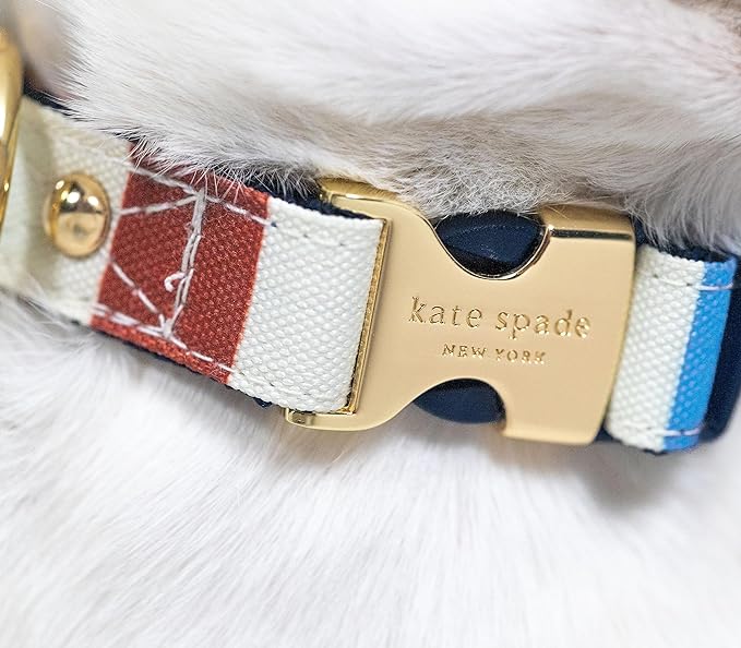 Kate Spade New York Cute Dog Collar, Gold Metal Buckle Dog Collar, 15.5" to 24" Adjustable Dog Collar for Female or Male Dogs, Stylish Dog Collar for Medium and Large Breeds (Adventure Stripe)