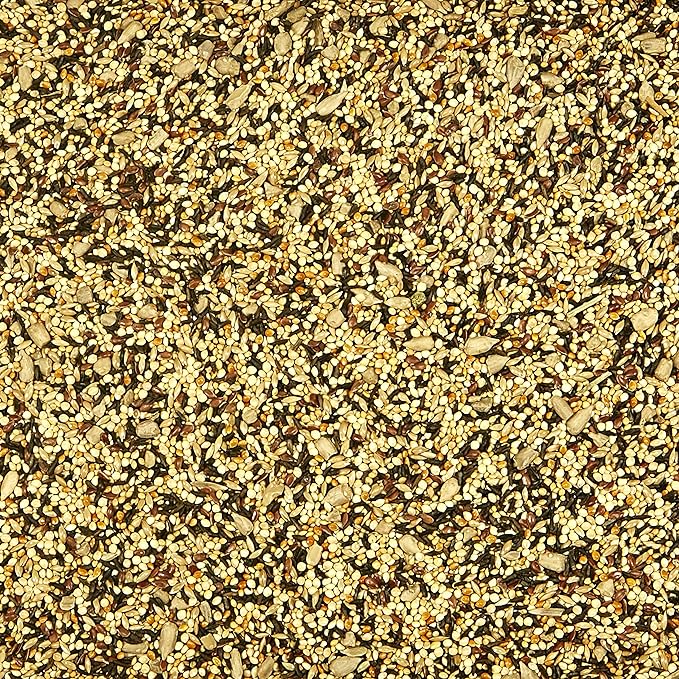 Kaytee Wild Bird Finch Food Blend, 3 lb