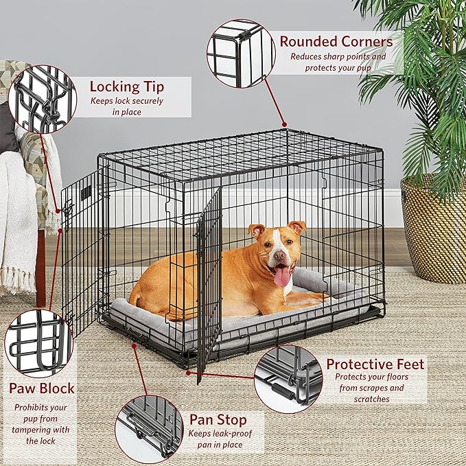 MidWest Homes for Pets Dog Crate Life Stages 36' Double Door Folding Metal Dog Crate | Divider Panel, Floor Protecting Feet, Leak-Proof Dog Pan | 35.63 in x 24.45 in x 21.93 in ,Intermediate Dog Breed