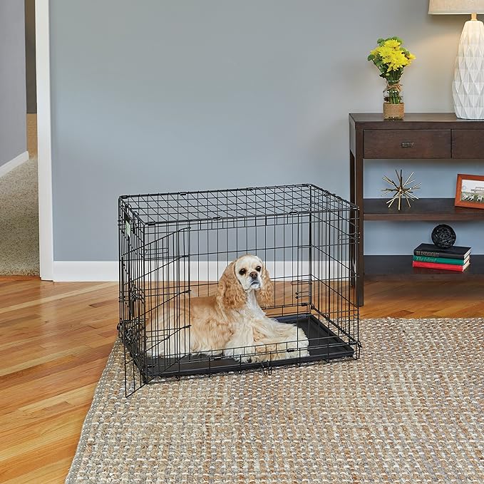 Medium Dog Crate | MidWest Life Stages 30" Double Door Folding Metal Dog Breed Crate | Divider Panel, Floor Protecting Feet & Dog Pan | 30.6L x 19.3W x 21.4H Inches