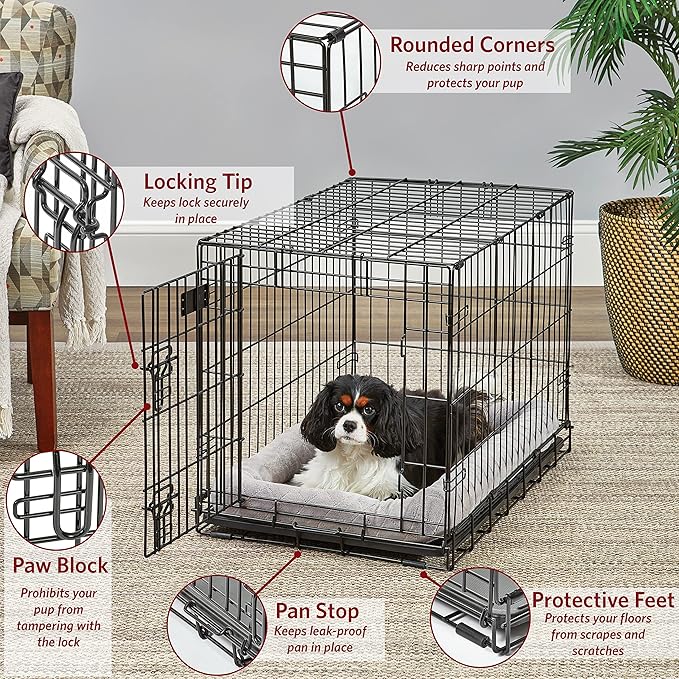 Medium Dog Crate | MidWest Life Stages 30" Double Door Folding Metal Dog Breed Crate | Divider Panel, Floor Protecting Feet & Dog Pan | 30.6L x 19.3W x 21.4H Inches