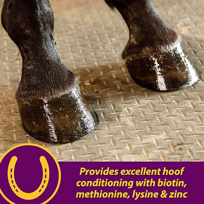 Farnam Horse Health Joint Combo Hoof & Coat, Convenient 3-in-1 horse joint supplement provides complete joint, hoof and coat care, 8 lb., 64 day supply