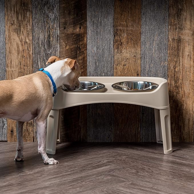 IRIS USA Elevated Dog Bowls, Adjustable Height, 2 Thick 64 oz Stainless Steel Bowls, Spill-Proof with Raised Outer Rim, Durable Made in USA Plastic, Easy Assemble, 2 Heights 4.63" or 12.25" Almond
