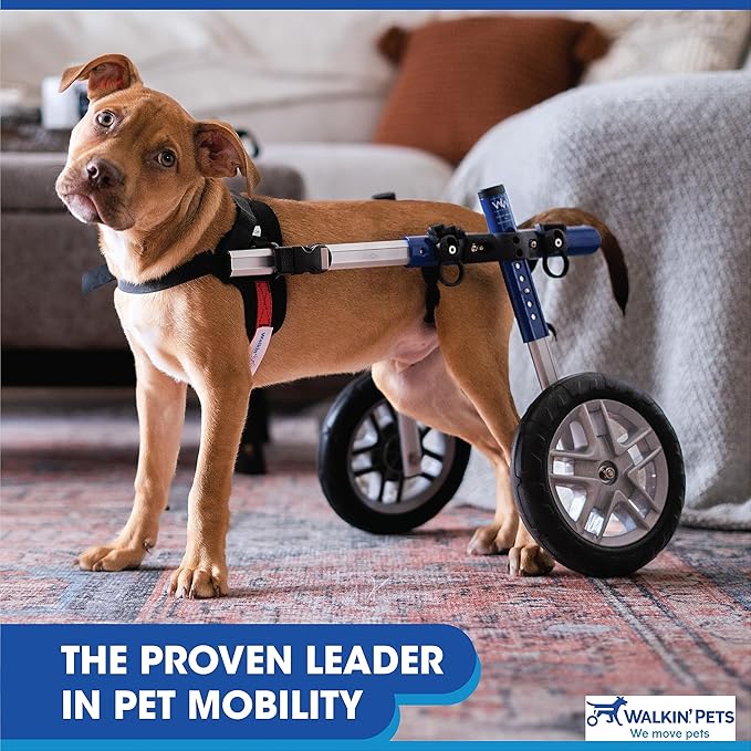 Walkin' Wheels Small Dog Wheelchair, Lightweight Dog Wheelchair for Back Legs, 15-25 lbs, for 9-11 inches Leg Height - Pink
