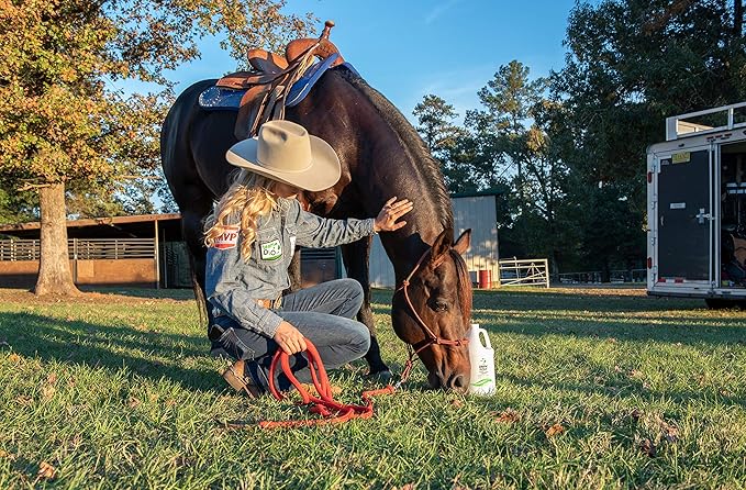 Liniment Spray Concentrate - Veterinary Strength - Odorless and Colorless - Pain Relief Topical Analgesic Horse Cream for Joint and Muscle Pain - Spray Wrap Soak - Natural Mineral