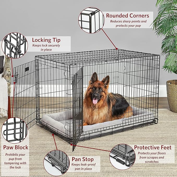 MidWest Homes for Pets XL Dog Crate | MidWest Life Stages Double Door Folding Metal Dog Crate | Divider Panel, Floor Protecting Feet, Leak-Proof Dog Pan | 48L x 30W x 33H Inches, XL Dog Breed