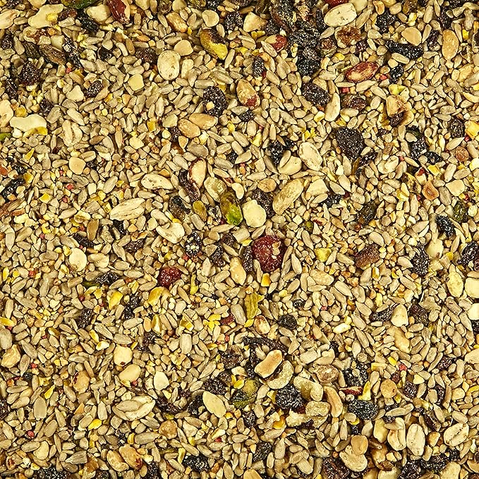 Kaytee Wild Bird Waste Free Nut and Fruit Food Seed Blend for Woodpeckers, Juncos, Cardinals, Grosbeaks, Finches, and Chickadees, 5.5 Pound (Pack of 2)