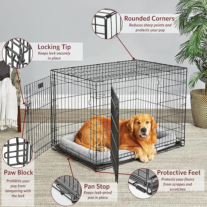 MidWest Homes for Pets Large Dog Crate | MidWest Life Stages Double Door Folding Metal Crate | Divider Panel, Floor Protecting Feet, Leak-Proof Pan | 42L x 28W x 30H Inches For Large Dog Breed