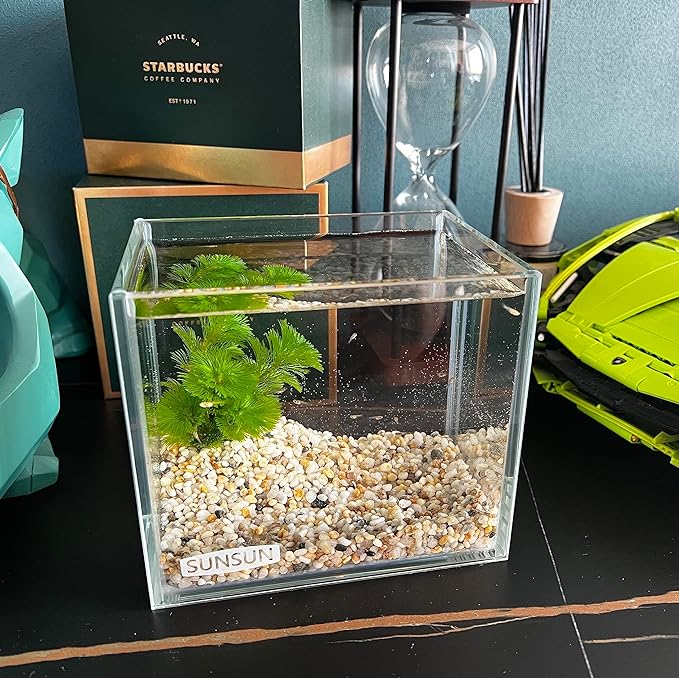 Small Nano Tall Rimless Tank, Small Glass Fish Tank, Small Betta Fish Tank, Small Aquarium, min Aquarium, Betta Tank (0.7 Gallon 5.9X 4.3x5.1inch/15 * 11 * 13cm)