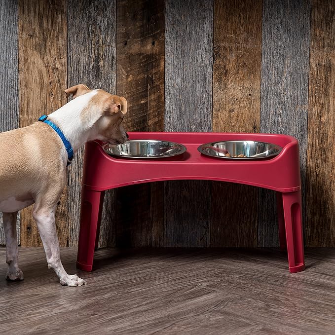 IRIS USA Elevated Dog Bowls, Adjustable Height, 2 Thick 64 oz Stainless Steel Bowls, Spill-Proof with Raised Outer Rim, Durable Made in USA Plastic, Easy Assemble, 2 Heights 4.63" or 12.25" Red