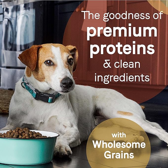 CANIDAE Pure Real Lamb & Brown Rice Recipe Dog Dry 4 lbs.