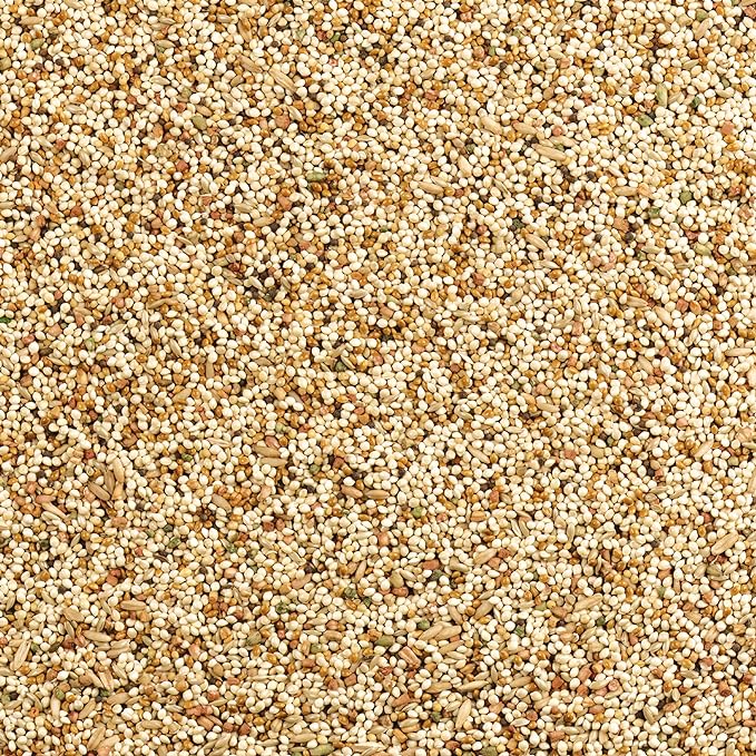Wild Harvest Daily Blend Nutrition Diet for Parakeet, Canary and Finch, Orange flavored, 10 Pounds (Pack of 2)