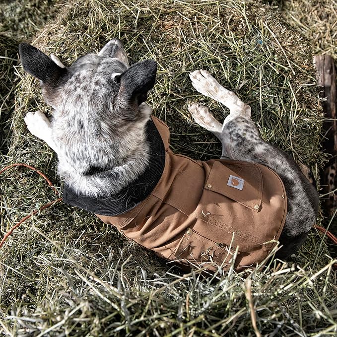 Carhartt Firm Duck Insulated Dog Chore Coat Army Green/Brass , Medium
