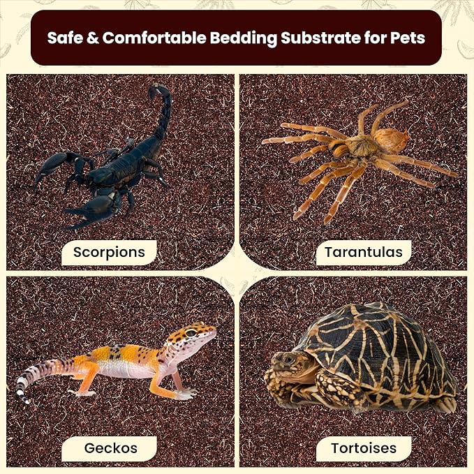 ReptiCare Coconut Fiber Substrate for Reptiles 12 Q, Organic Ready to Use - Odor Absorbent Coco Coir Terrarium Bedding for Ball Pythons, Boas, Snakes, Tortoises, Geckos, Frogs and Tarantulas