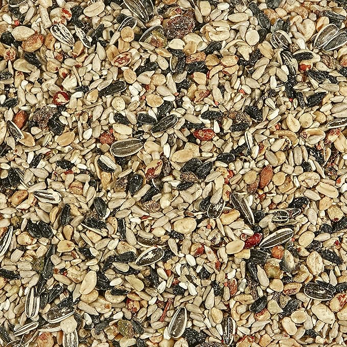 Kaytee Wild Bird Food Nut & Fruit Seed Blend For Cardinals, Chickadees, Nuthatches, Woodpeckers and Other Colorful Songbirds, 10 Pound