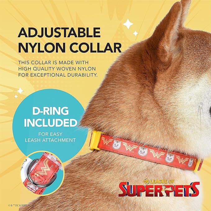 DC Comics League of Super-Pets PB Wonder Woman Dog Collar, Medium| Officially Licensed DC League of Super-Pets PB Dog Collar | Medium Dog Collar DC Wonder Woman Style with D-ring for Leash